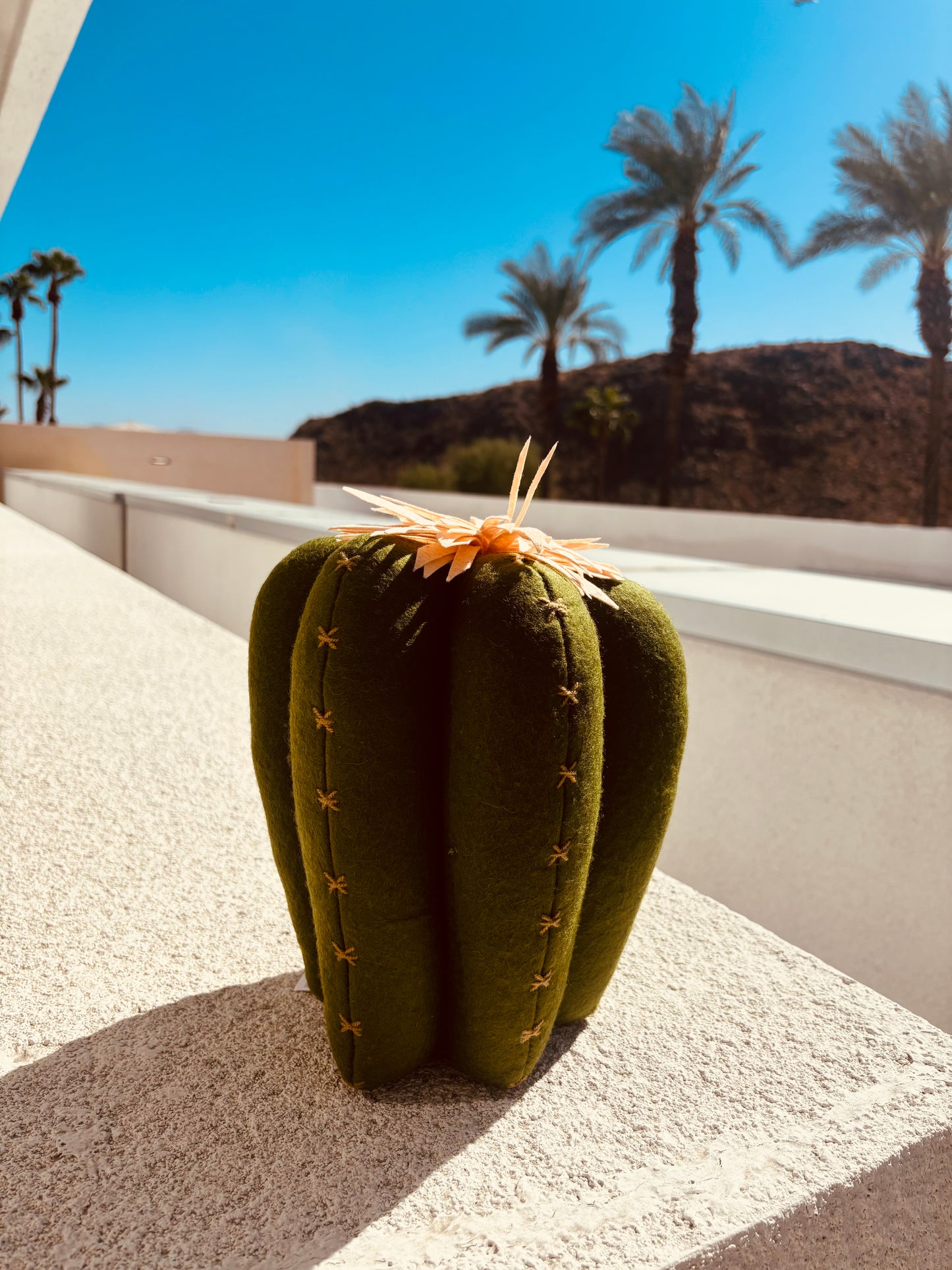 Stuffed Cactus Pillow - Rancho Relaxo