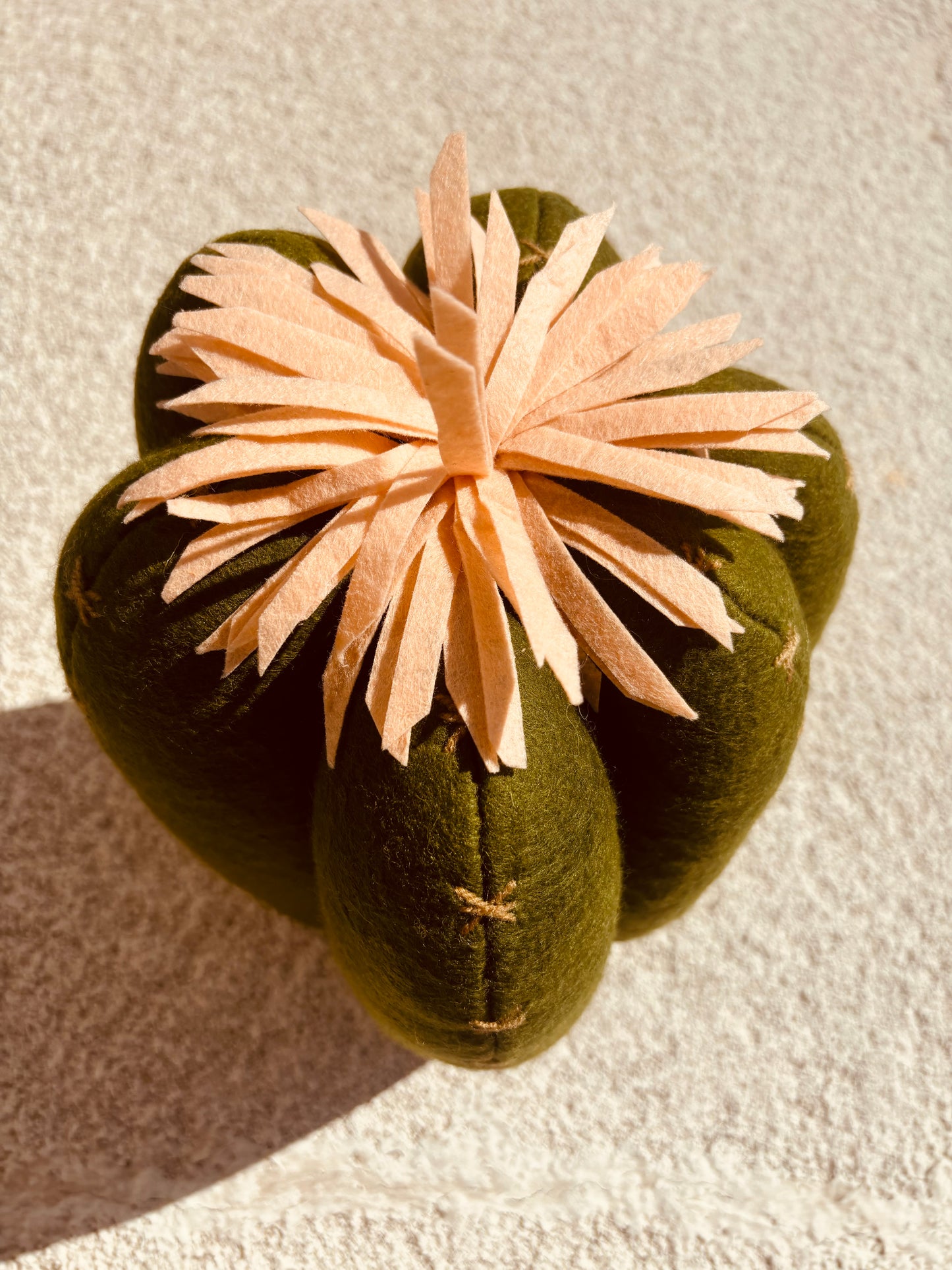 Stuffed Cactus Pillow - Rancho Relaxo