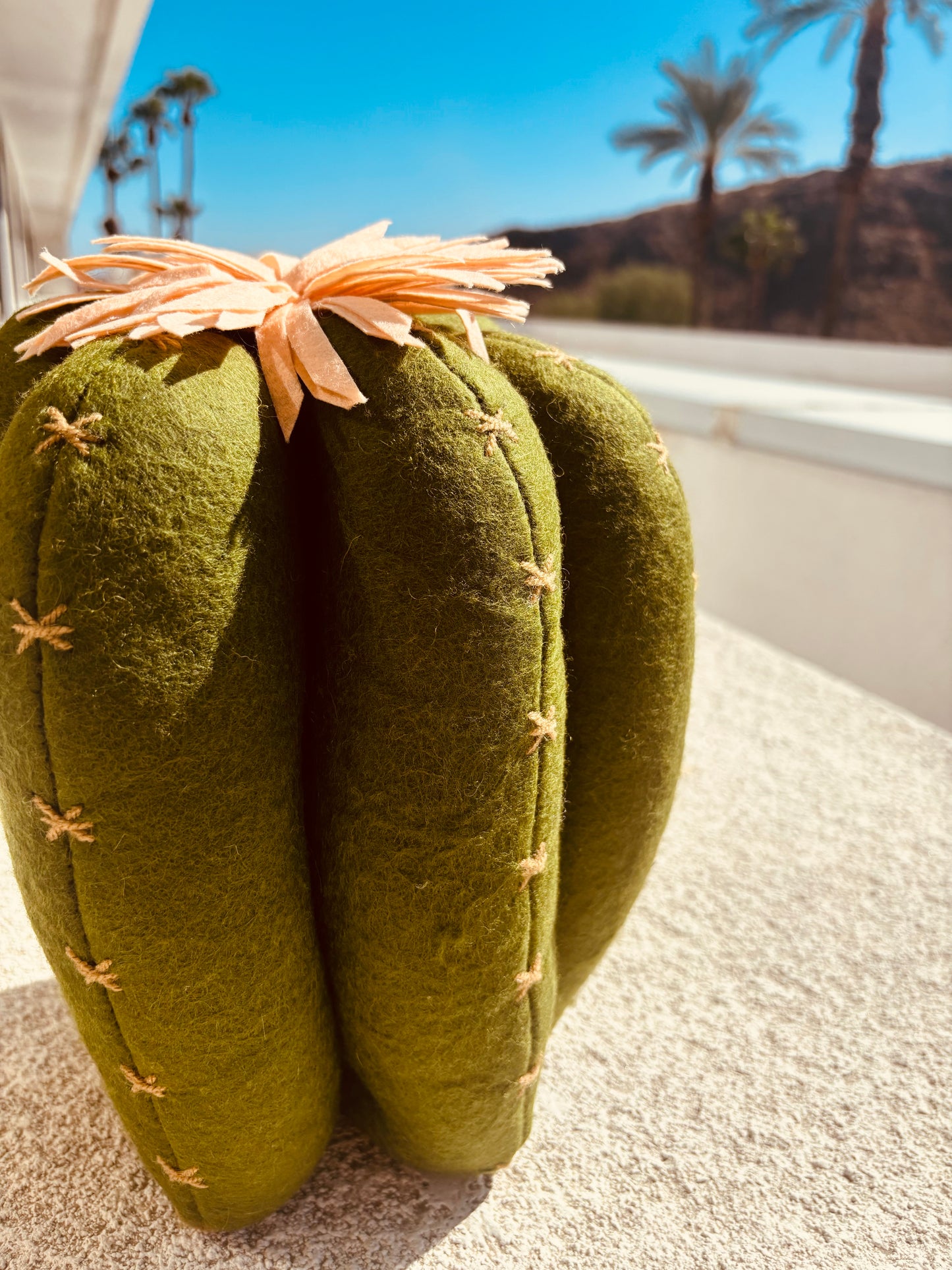 Stuffed Cactus Pillow - Rancho Relaxo