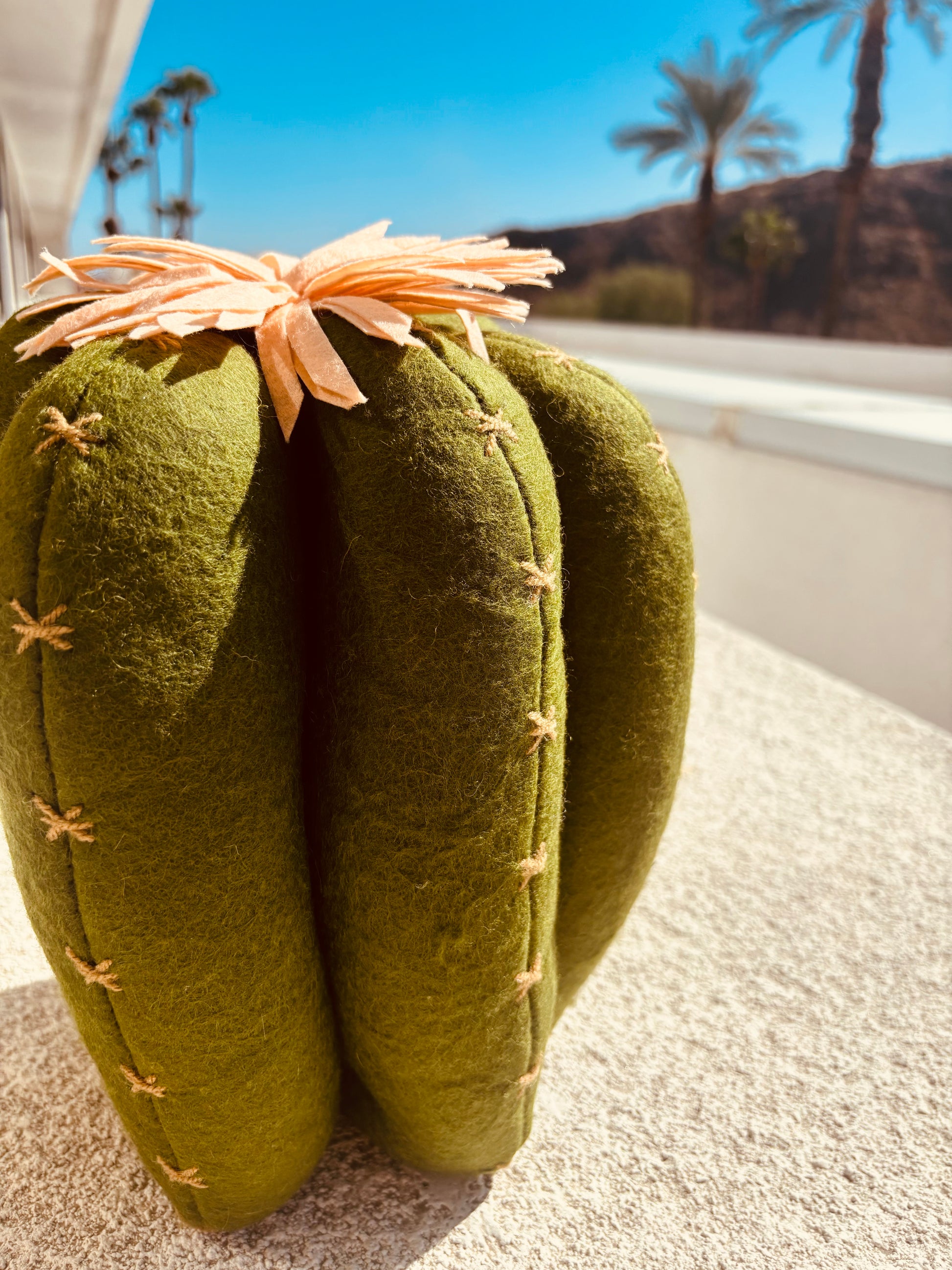 Stuffed Cactus Pillow - Rancho Relaxo