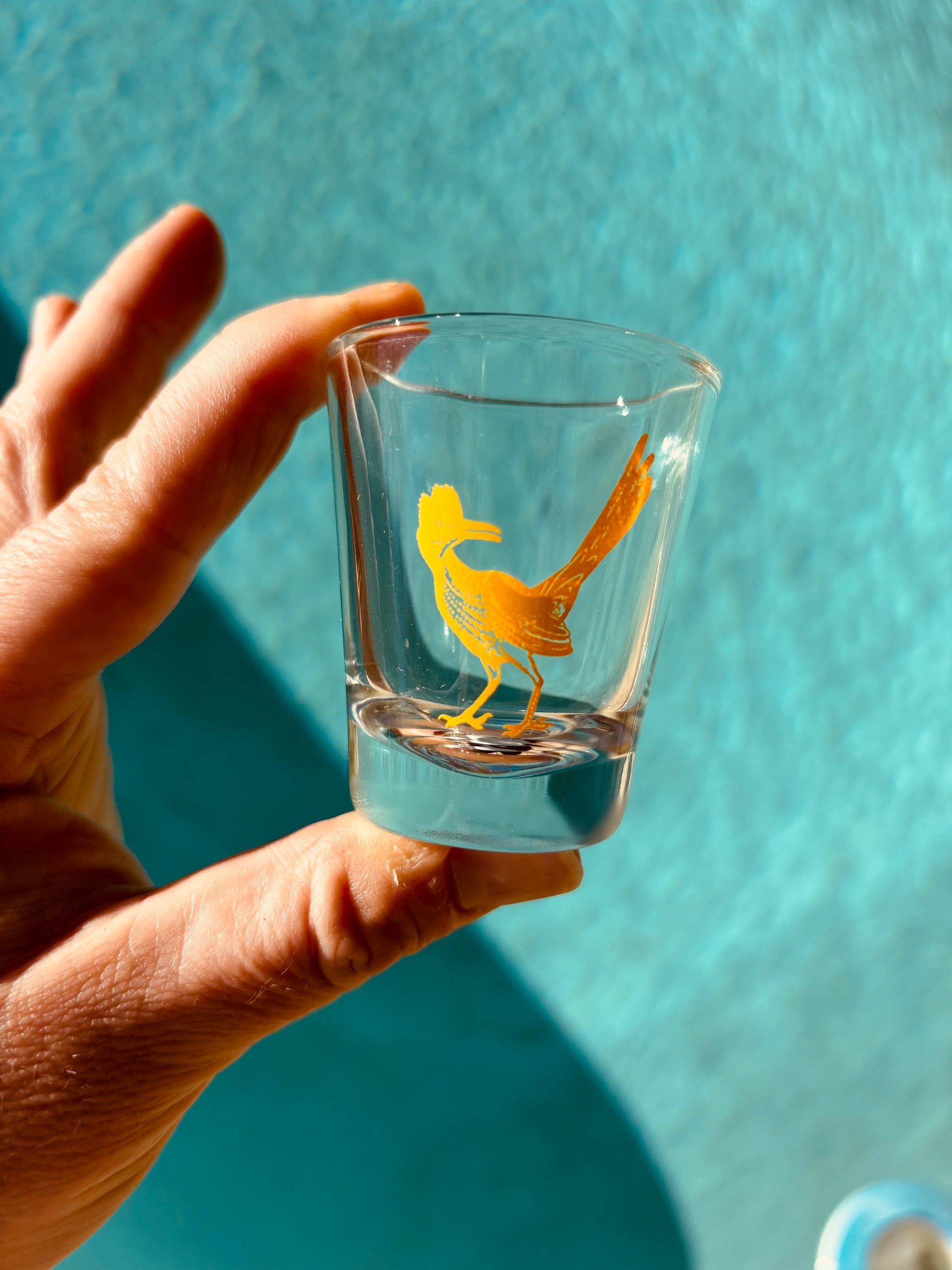 Roadrunner Shot Glass - Rancho Relaxo