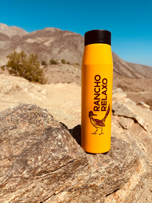 H2GO Chroma Water Bottle 24oz. - Rancho Relaxo