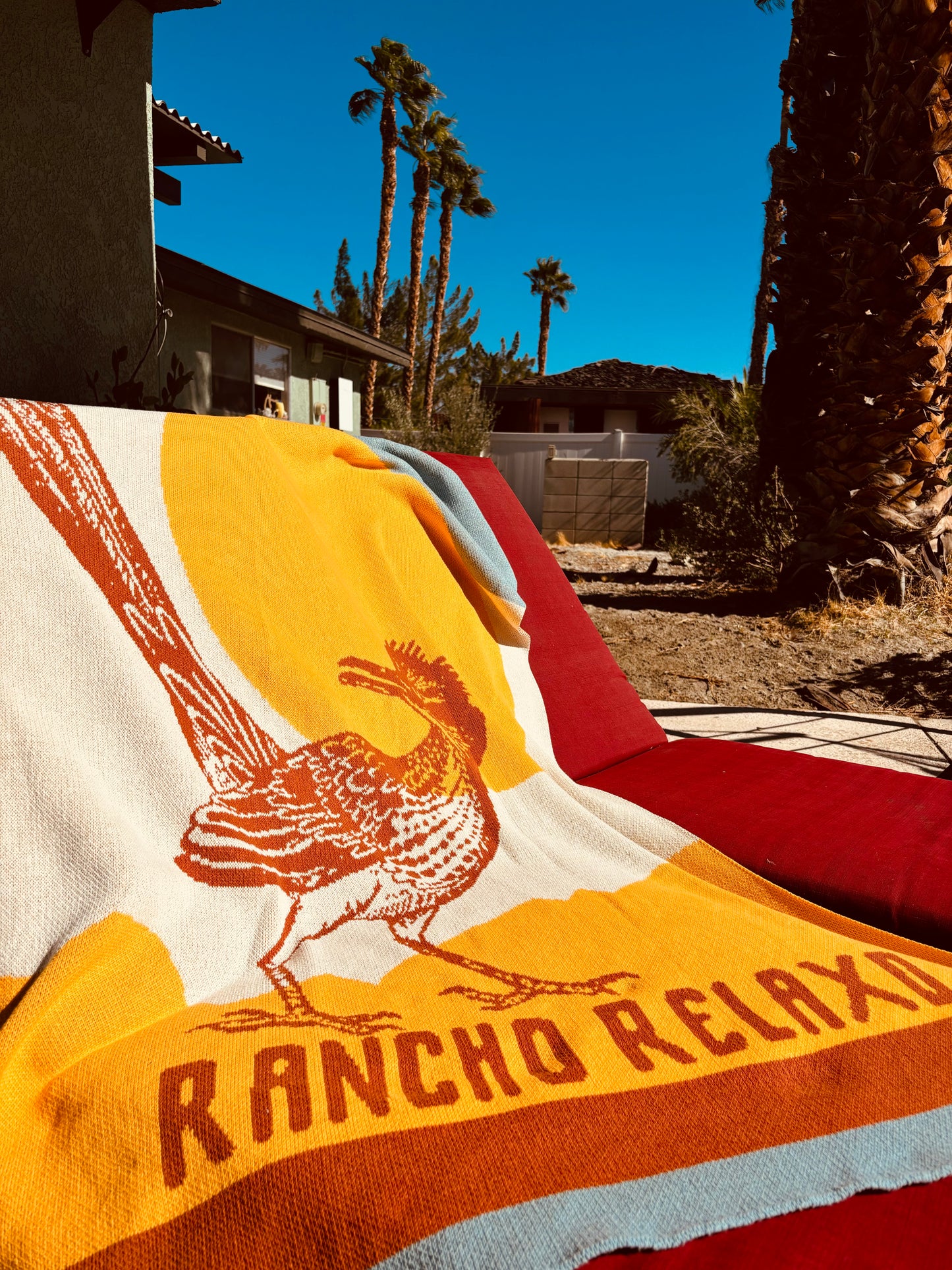 Roadrunner Cozy Blanket