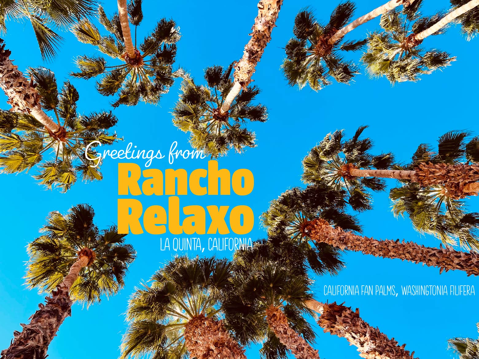 Palm Springs I Love You Postcards - Rancho Relaxo