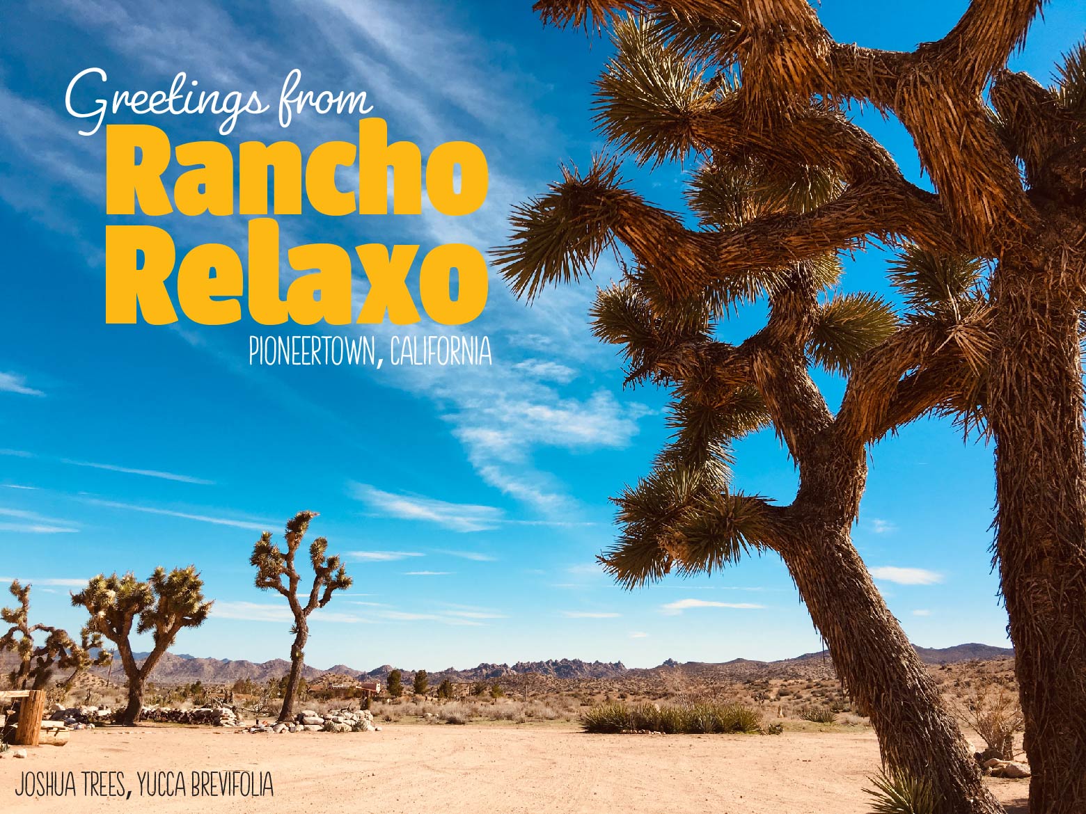 Palm Springs I Love You Postcards - Rancho Relaxo